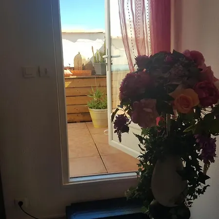 Appartement Naturiste Cap D'agde Port Soleil 144 Agde
